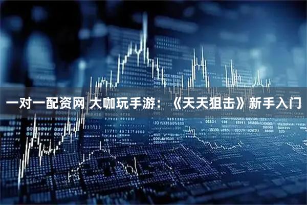 一对一配资网 大咖玩手游：《天天狙击》新手入门
